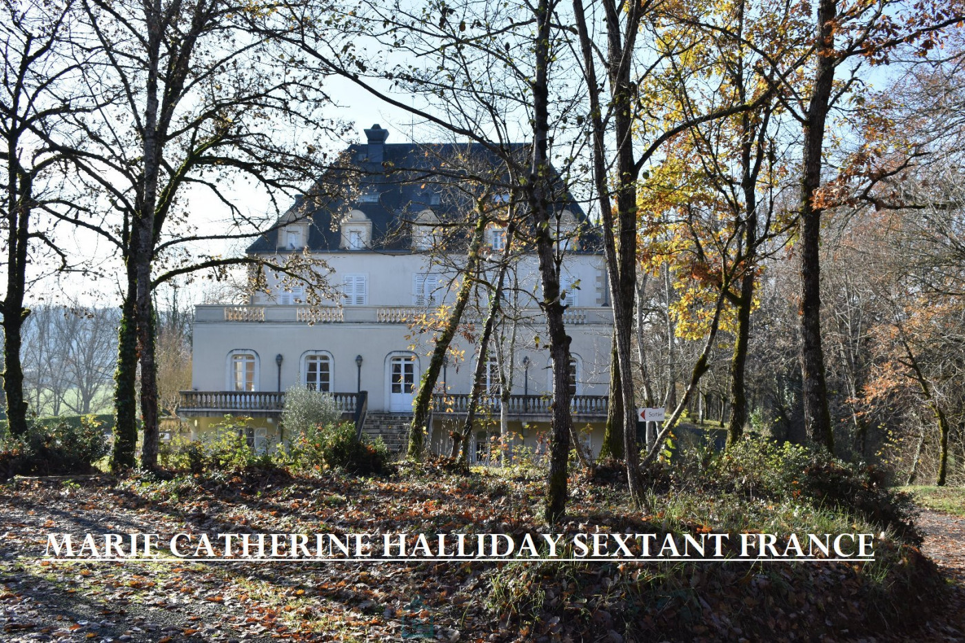 vente Château Valojoulx - Photo 3