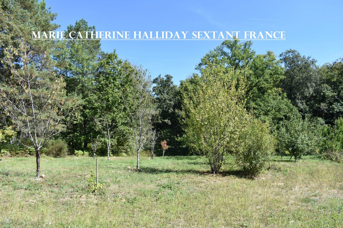 vente Propriété Rouffignac Saint Cernin De Reilhac - Photo 4