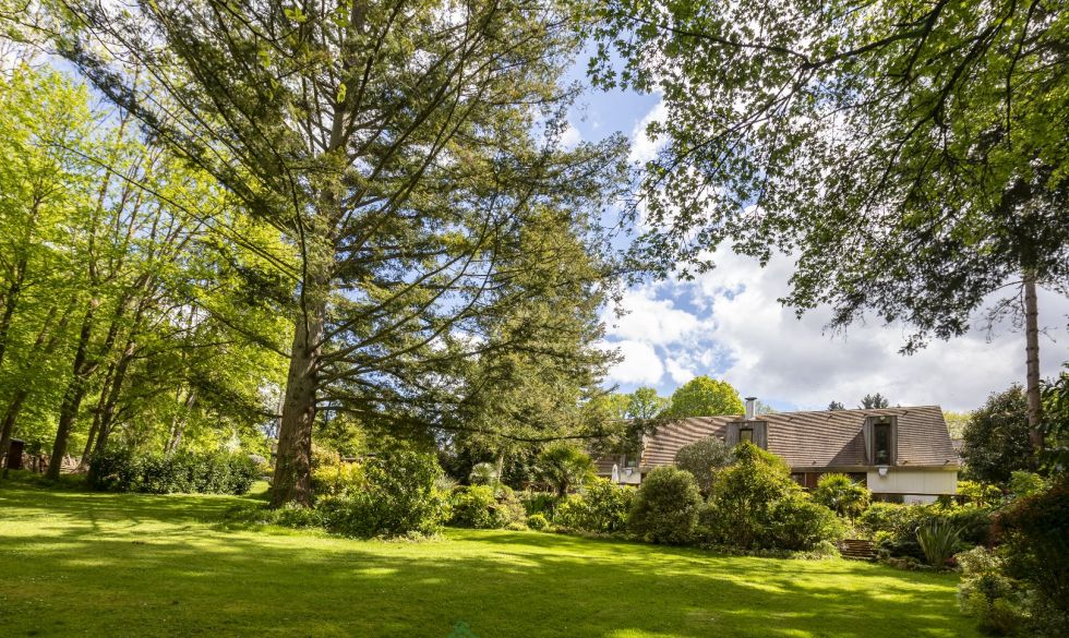 vente  La Celle Sur Morin