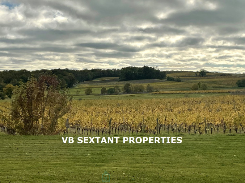 vente Domaine Semens - Photo 7