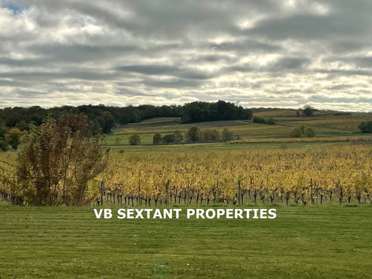 vente Domaine Semens - Photo 7