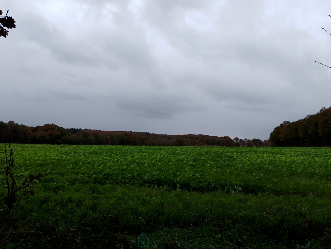 vente Maison Meneac - Photo 12