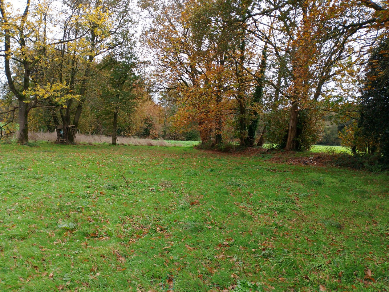 vente Maison Meneac - Photo 17