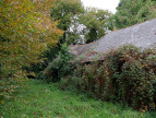 vente Maison Meneac