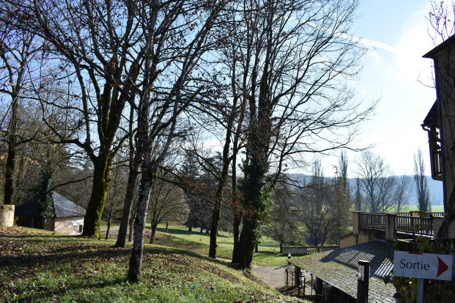vente Château Valojoulx - Photo 10