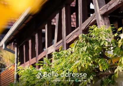 vente Ensemble immobilier Niedernai