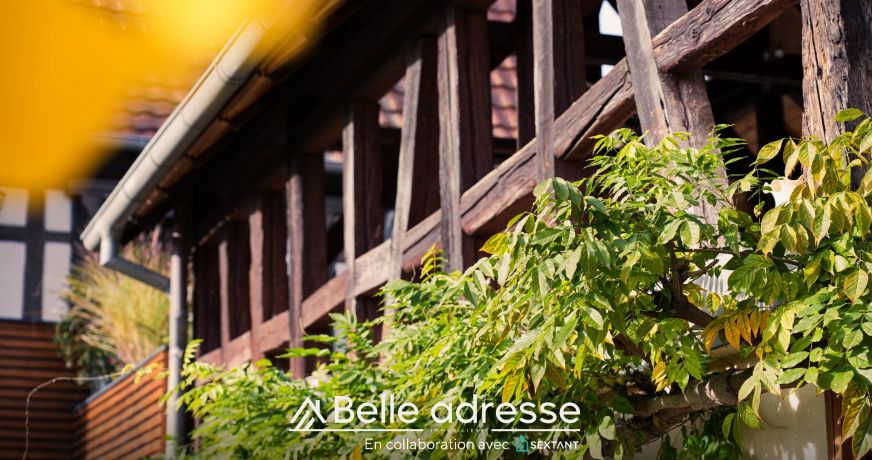 vente Ensemble immobilier Niedernai