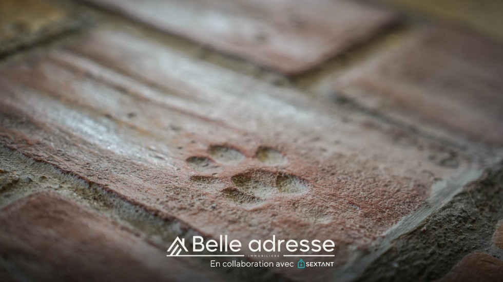 vente Ensemble immobilier Niedernai - Photo 6