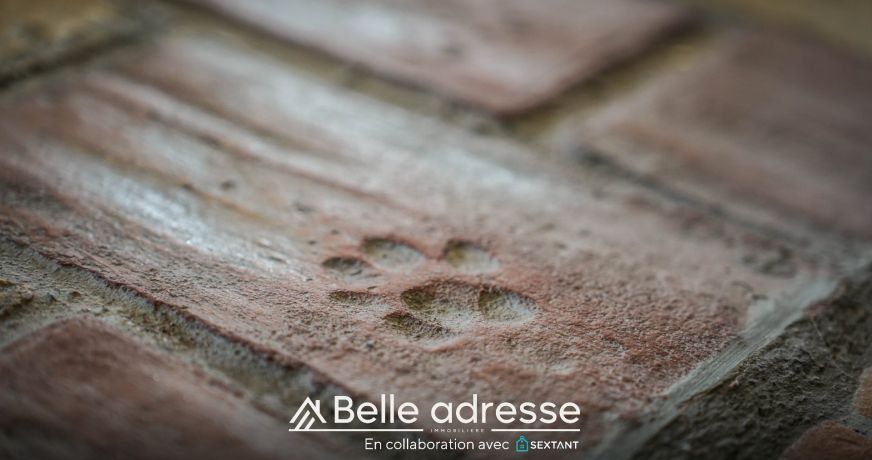 vente Ensemble immobilier Niedernai