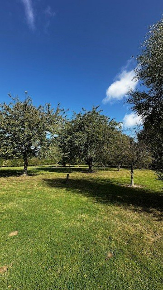 vente Maison individuelle Bourg Achard - Photo 13