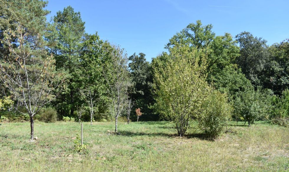 vente Rouffignac Saint Cernin De Reilhac