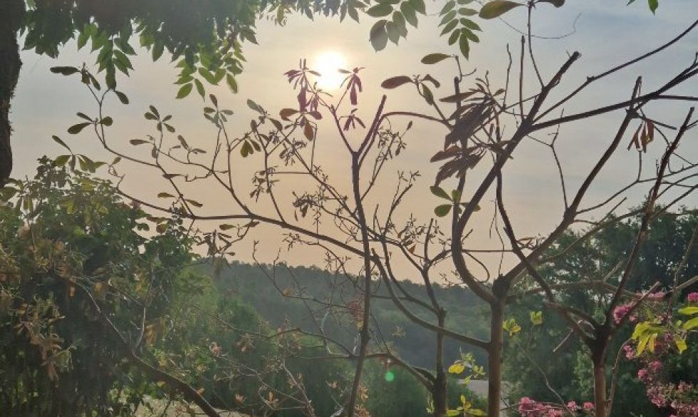 vente Saint Front D'alemps