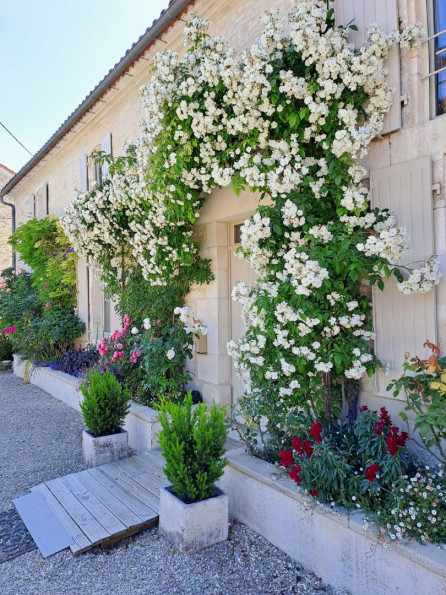 vente Longere Merignac - Photo 2