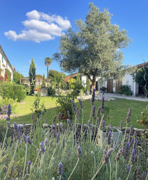 vente Propriété Cognac - Photo 5