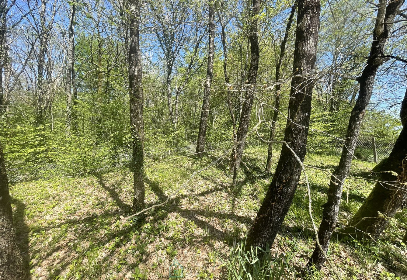 vente Villa Barbezieux Saint Hilaire - Photo 21