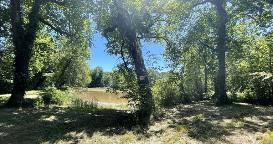 vente Domaine Barbezieux Saint Hilaire