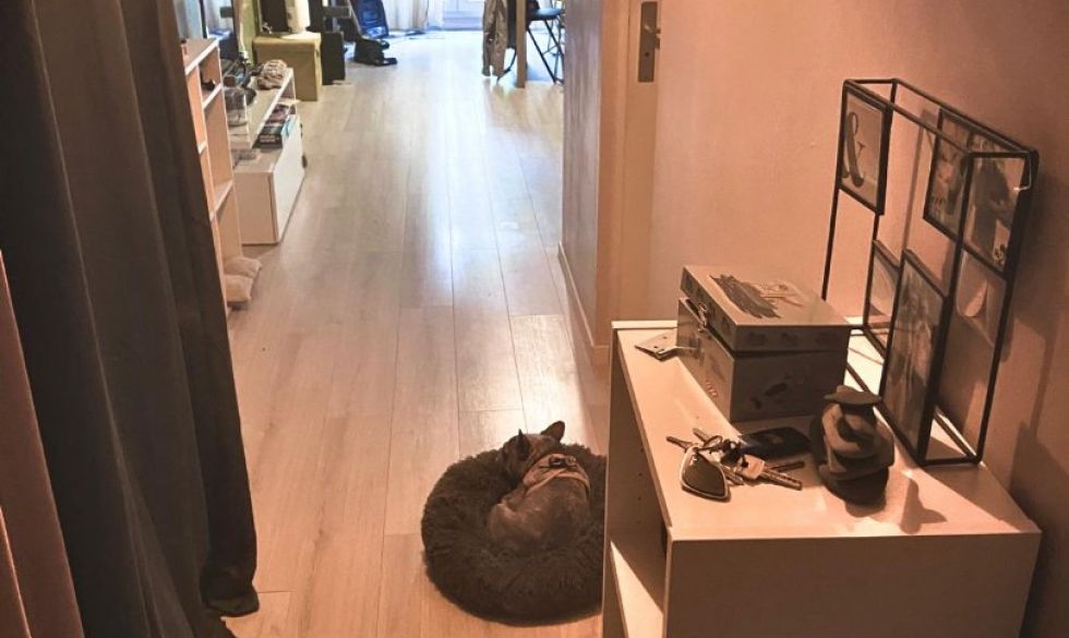 vente Saint Michel Sur Orge