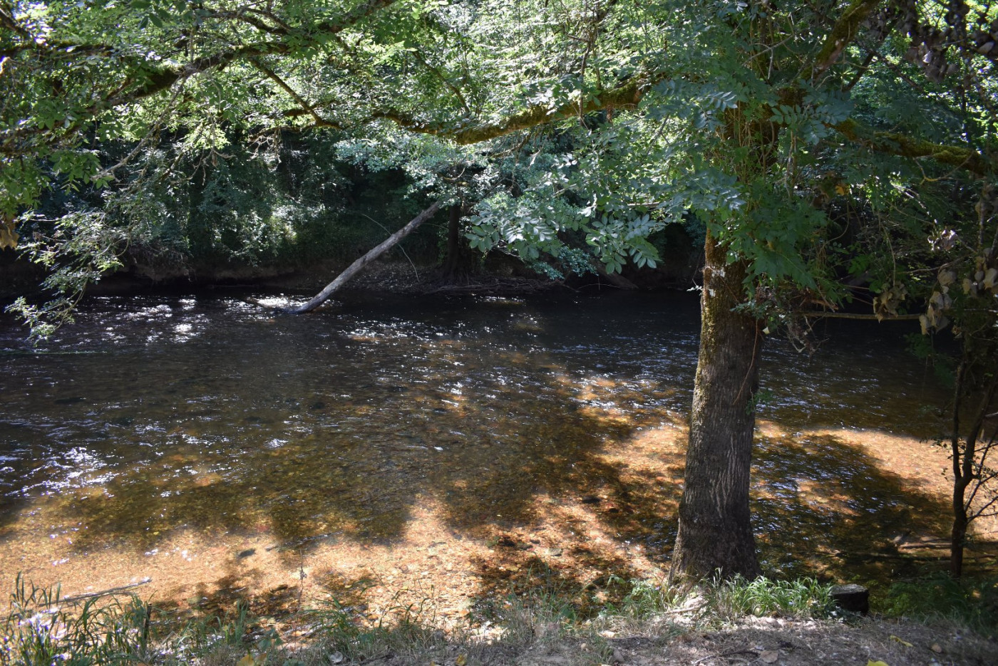 vente Demeure Perigueux - Photo 18