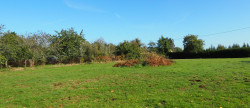 vente Terrain constructible Guern