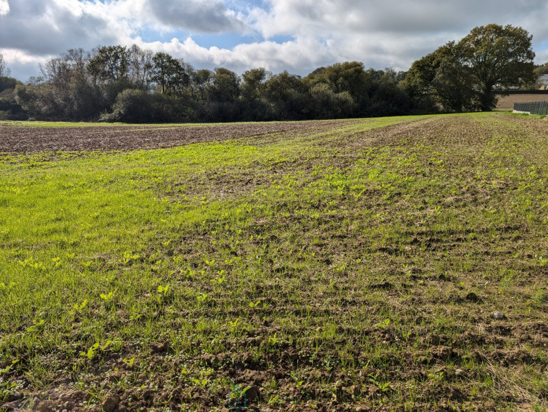 vente Maison en pierre Locmine - Photo 6