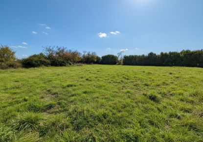 vente Maison Amboise