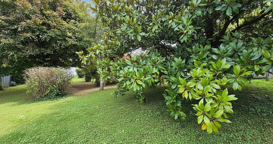 vente Maison Rochecorbon