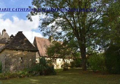 vente Propriété Montignac