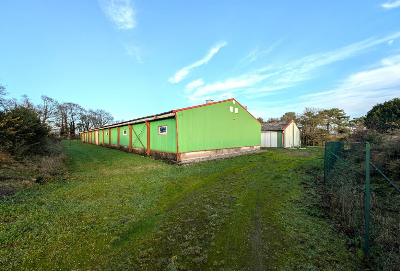 vente Propriété Languidic - Photo 3