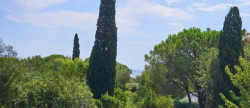 vente Villa Grimaud