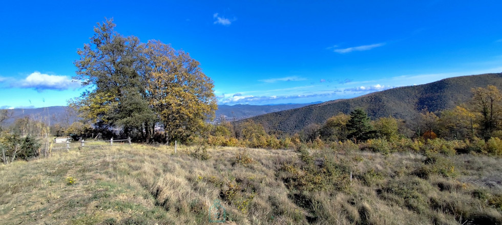 vente Mas Taurinya - Photo 7