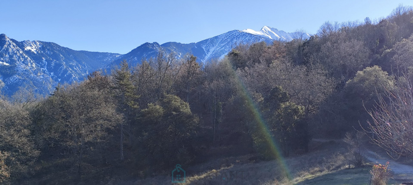 vente Mas Taurinya - Photo 21