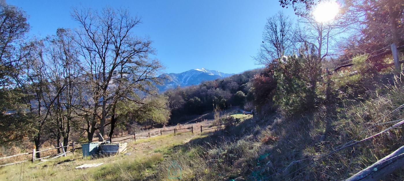 vente Mas Taurinya - Photo 4