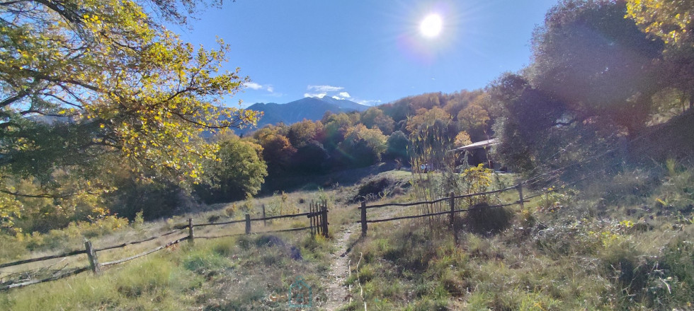 vente Mas Taurinya - Photo 8