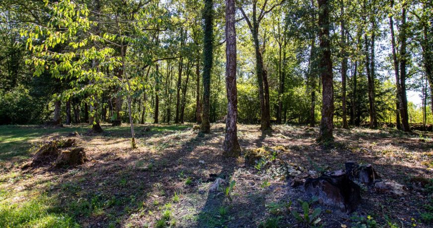 vente Maison et terrain Tourtoirac