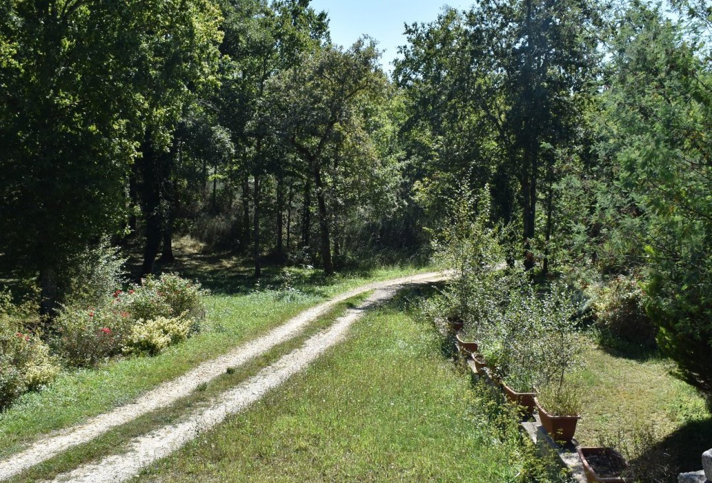 vente Propriété Rouffignac Saint Cernin De Reilhac - Photo 7