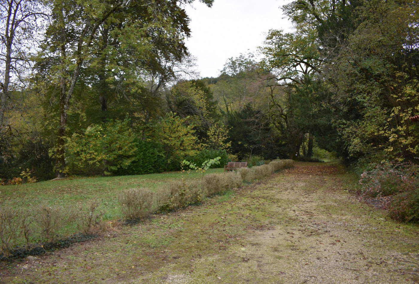 vente Château Escoire - Photo 8