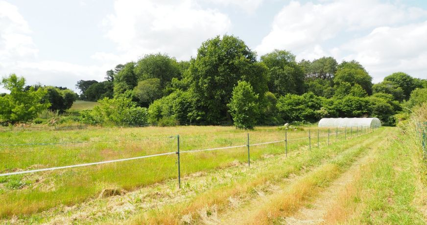 vente Maison Landaul