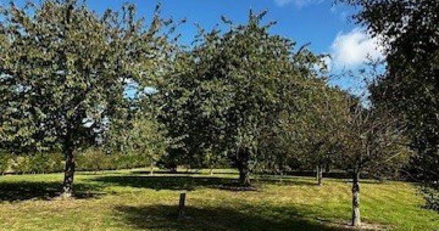 vente Maison individuelle Bourg Achard