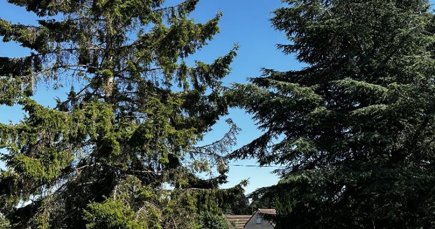 vente Maison Bourg Achard