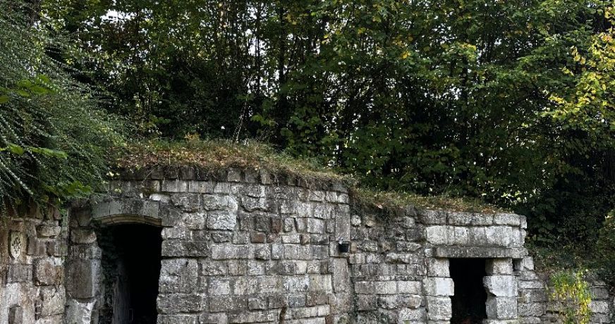 vente Maison individuelle Saint Cyr La Campagne