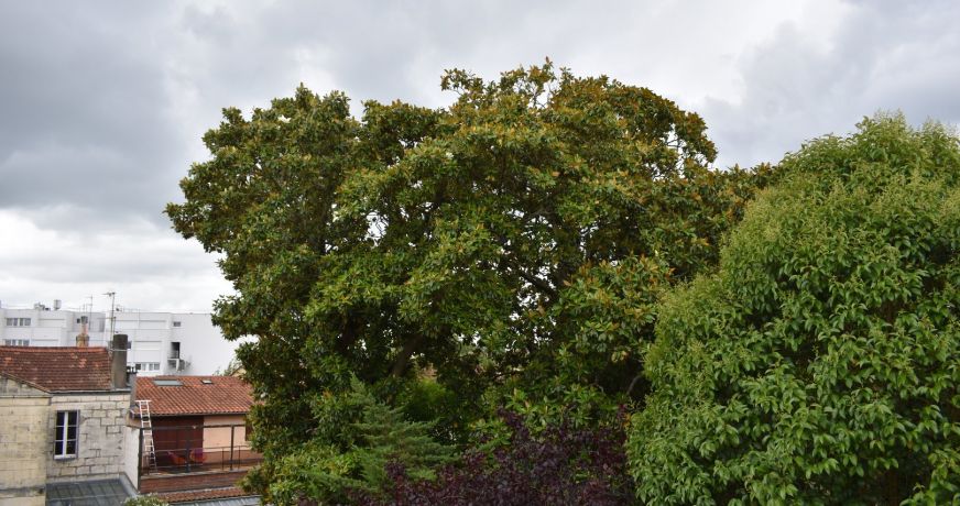 vente Maison de caractère Bordeaux