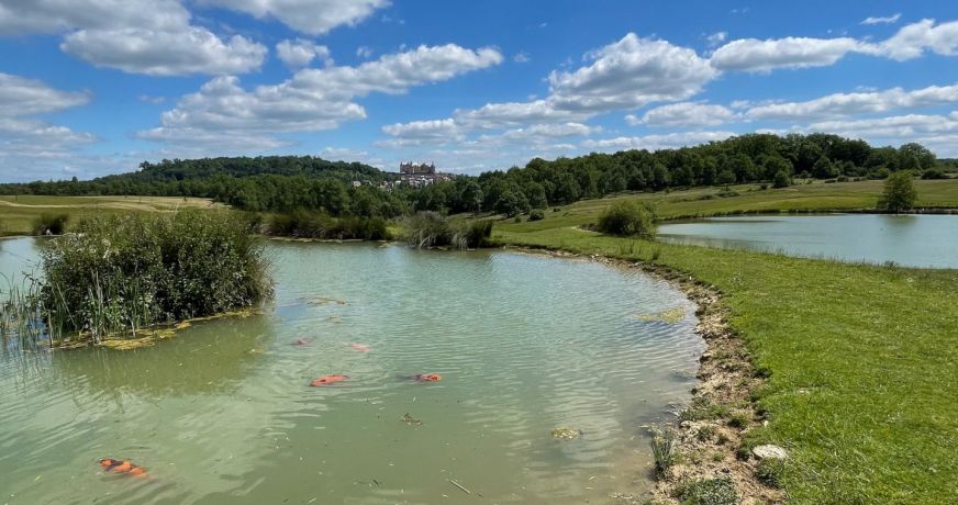 vente Domaine Hautefort