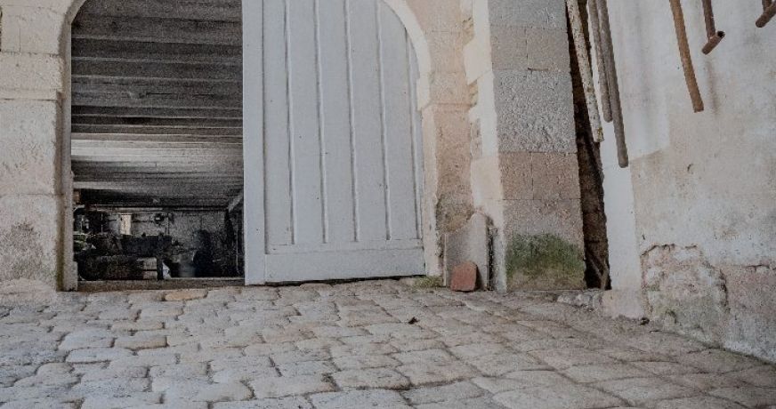 vente Maison de maître Segonzac