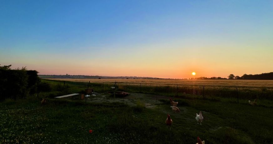 vente Maison Martin Eglise