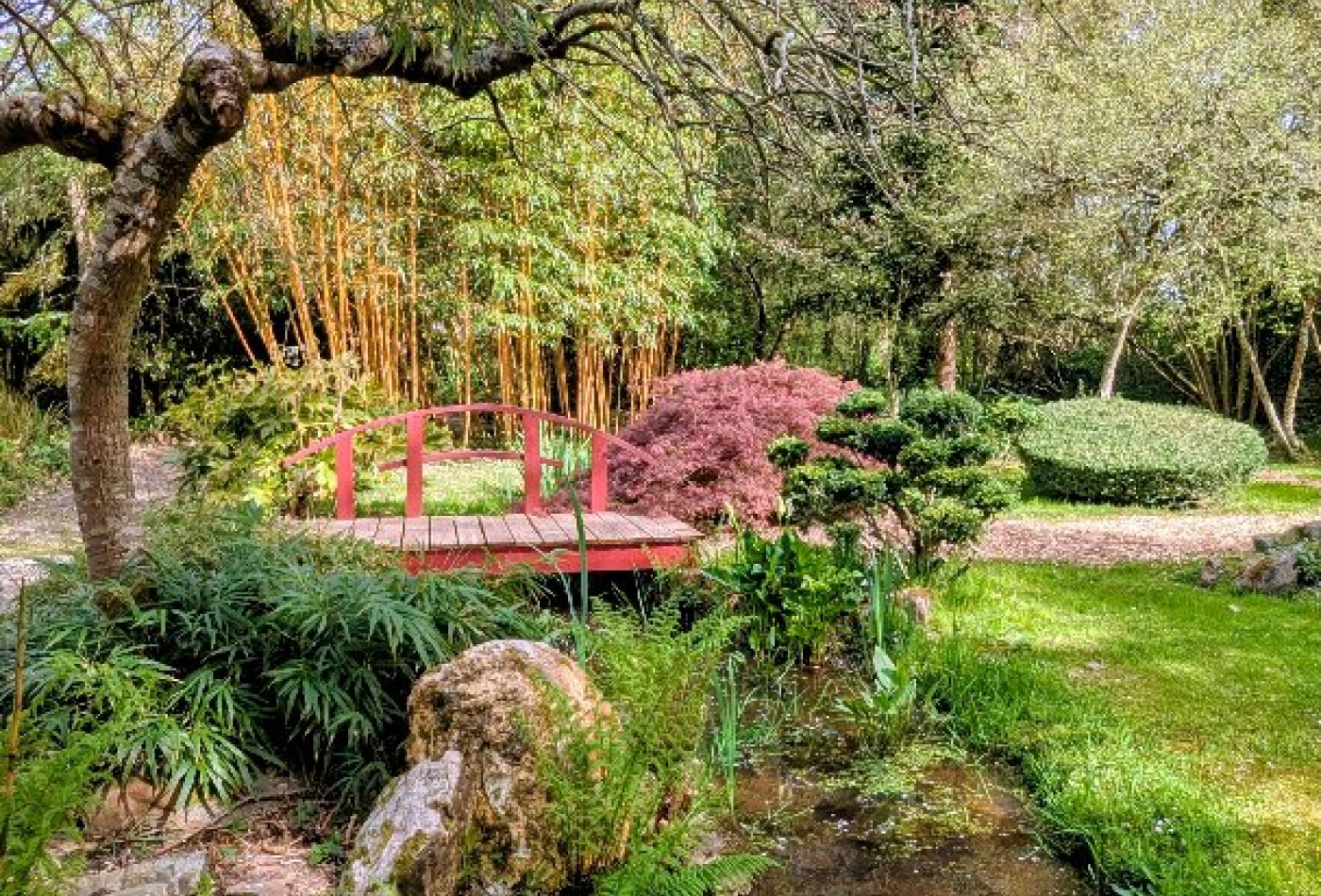 vente Propriété Cleguerec - Photo 6