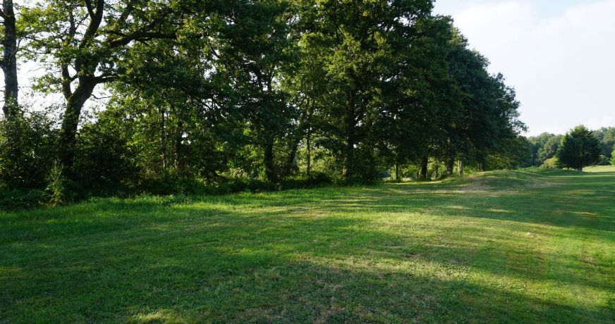 vente Propriété Busserolles