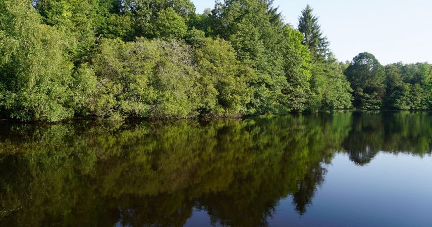 vente Propriété Busserolles