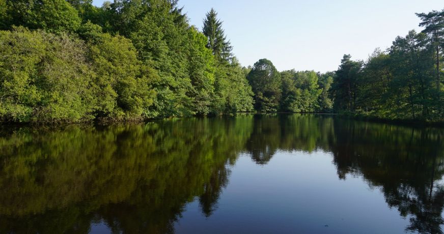 vente Propriété Busserolles