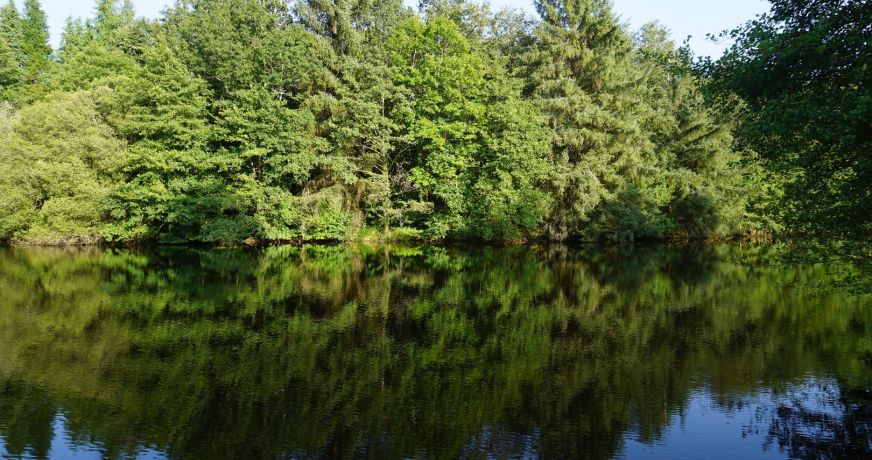 vente Propriété Busserolles