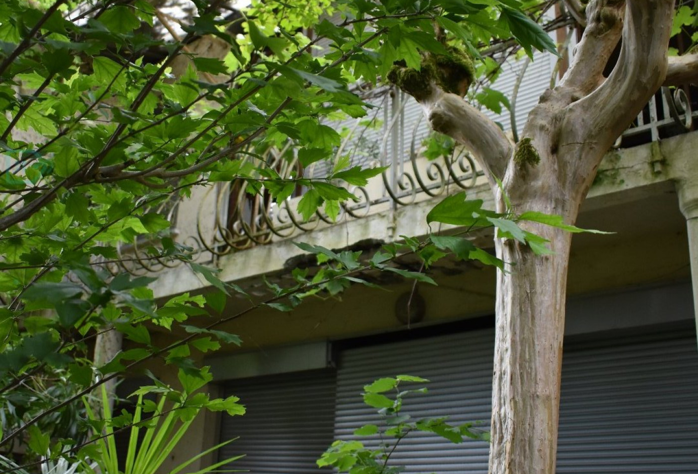 vente Maison de caractère Bordeaux - Photo 7